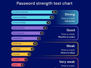Bitwarden Password strength test chart