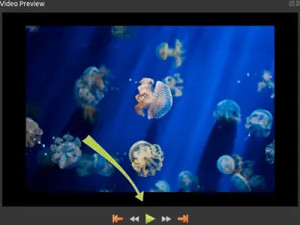 OpenShot Video Editor: Preview Video Screen